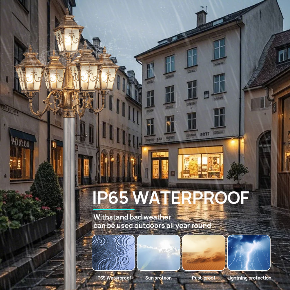 Passen Sie die 5-Kopf-Klassike – Outdoor Lighting Pole Bewertung und Preis